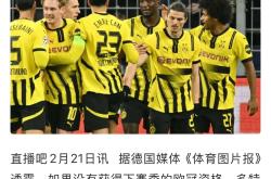 关于多特蒙德主场再获胜，积分追赶领头羊的信息